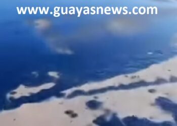 Guayas News