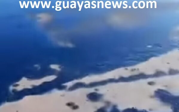 Guayas News