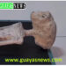 Guayas News