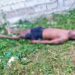 Alias ‘Negro Tulio’ presunto integrante del GAO ‘Los Lobos’ fue neutralizado en Los Ríos