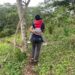 Puembo