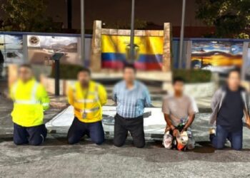 Una tonelada y media de droga, se incautó en Guayaquil, Video