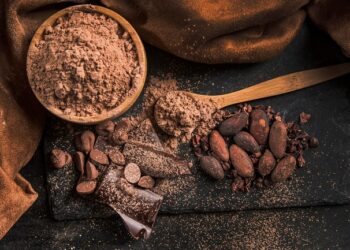 Expansión del cacao ecuatoriano, el camino hacia nuevos destinos, Video