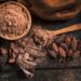 Expansión del cacao ecuatoriano, el camino hacia nuevos destinos, Video