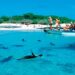 Playa Tortuga Bay