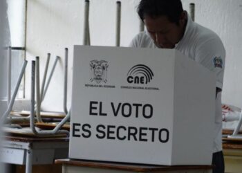 consulta 2025