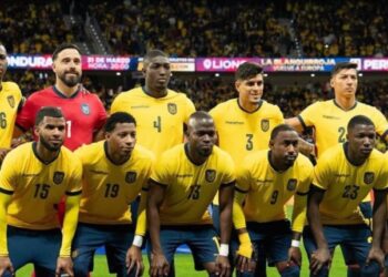Ecuador vs Países Bajos