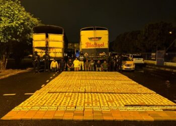 Cajas de banano