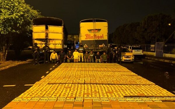 Cajas de banano