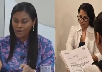 Luisa González investigada
