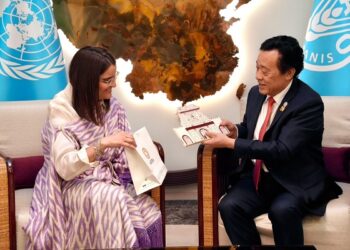 vicepresidenta