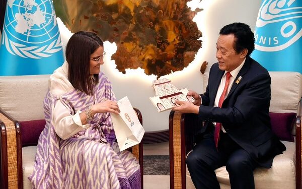 vicepresidenta